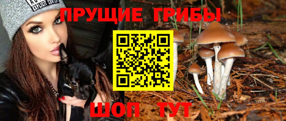 Псилоцибиновые грибы Magic Shrooms Калач-на-Дону