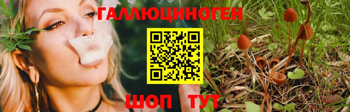 Псилоцибиновые грибы Magic Shrooms  Вход с VPN  Галлюциногенные грибы мицелий  Калач-на-Дону 